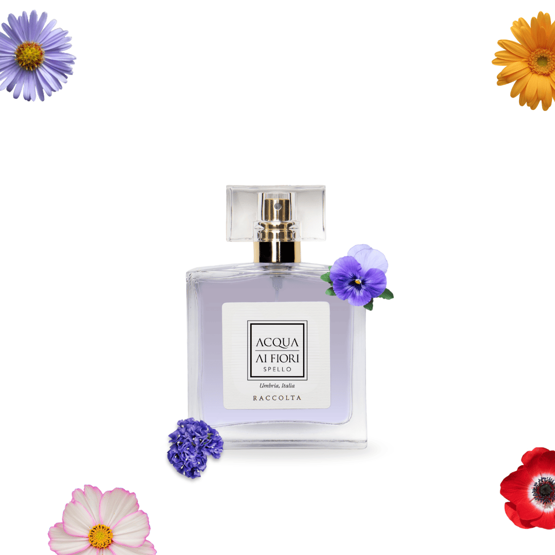 Raccolta, Eau de Parfum 50ml