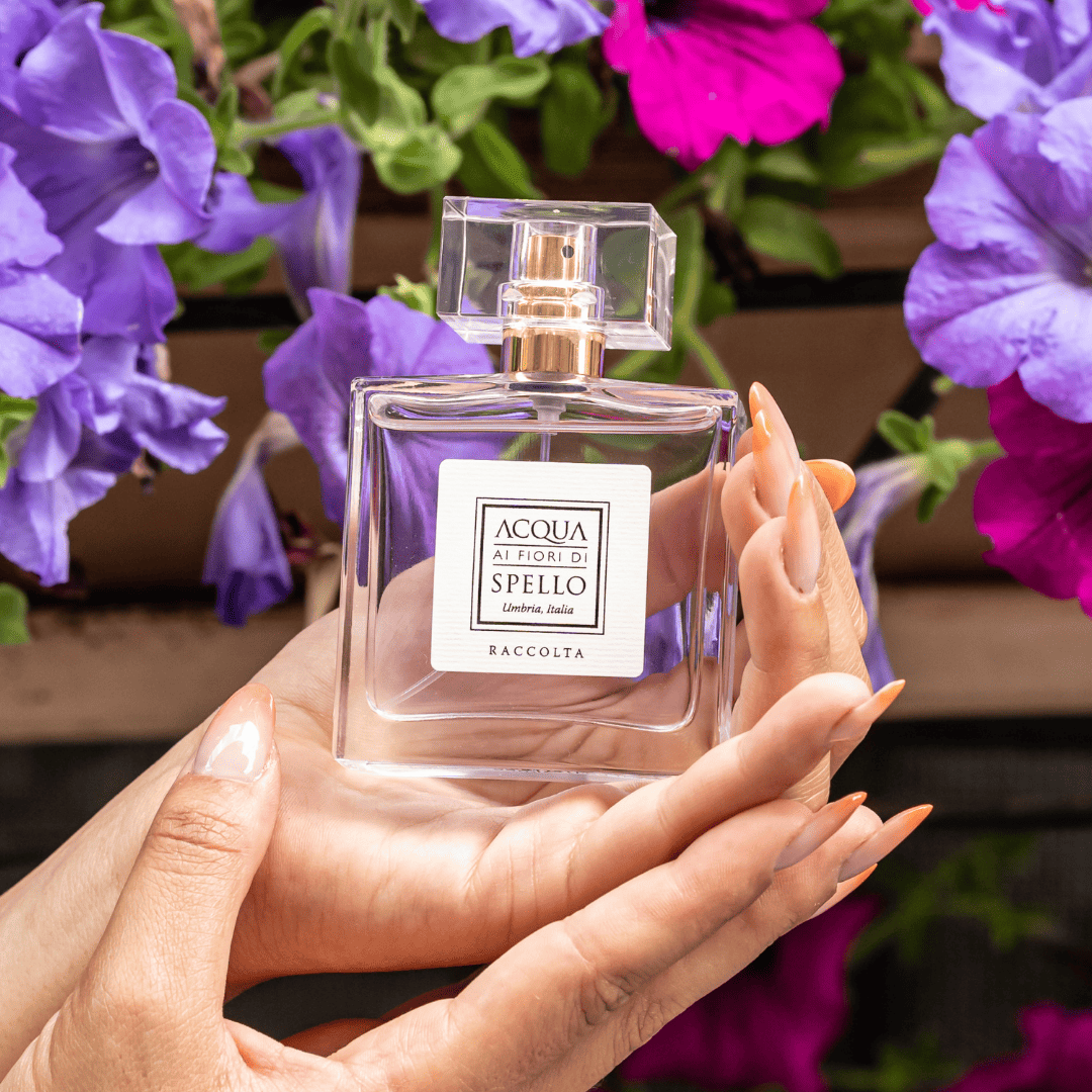 Raccolta, Eau de Parfum 50ml